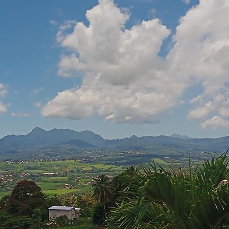 Martinique Vue D'Exception Et Piscine Villa Le Lamentin Ngoại thất bức ảnh